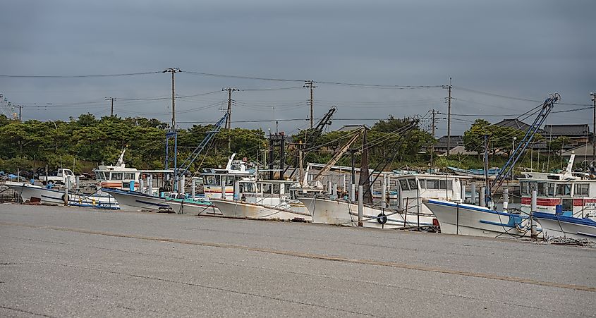 Tokyo, JAPAN - 02 November 2024: Japanese fishing boats comes back to the port.
