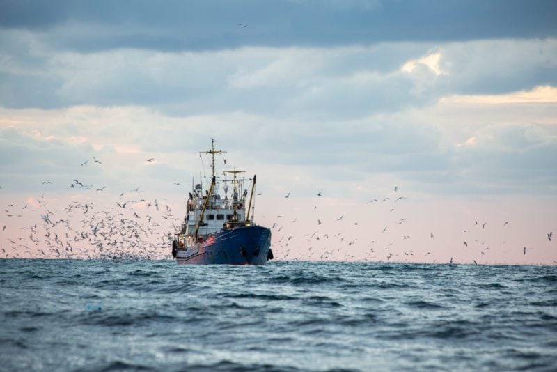 Greece Asks EU To Step In Over ‘Unlawful Fishing’ By Turkey Return,Of,The,Fishing,Seiner,After,The,Catch,At,Sunset