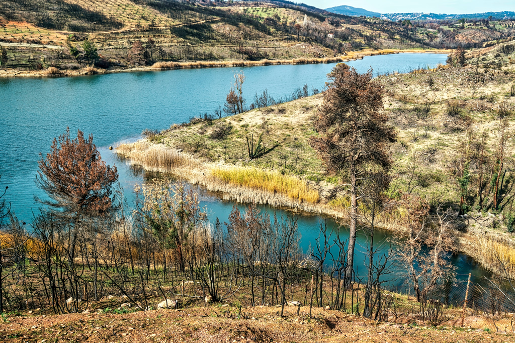Greece’s Water Crisis Is Becoming an Economic Crisis Greece’s Water Crisis Is Becoming an Economic Crisis