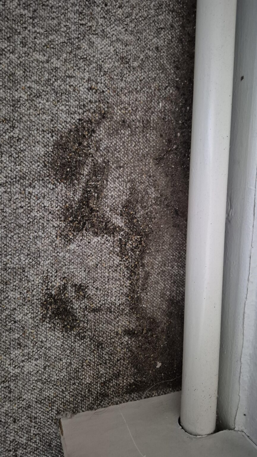 How should I deal with this? How should I deal with this?