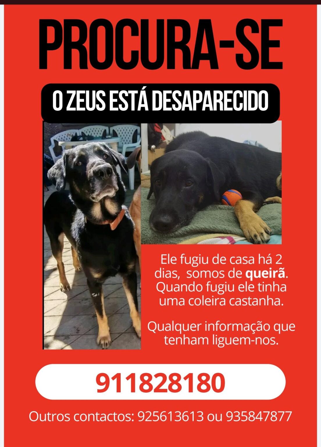 Help share Viseu