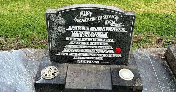 Hundreds of ceramic poppies stolen from Auckland veterans’ graves Hundreds of ceramic poppies stolen from Auckland veterans' graves