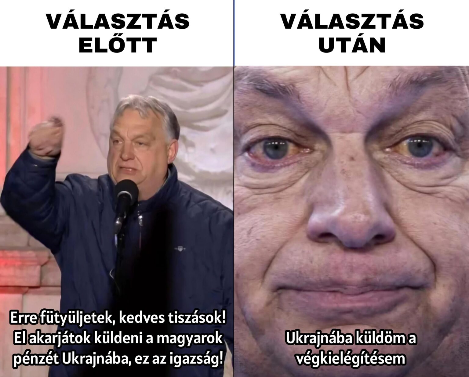 Orbán also became a sissy! WHAT ELSE???