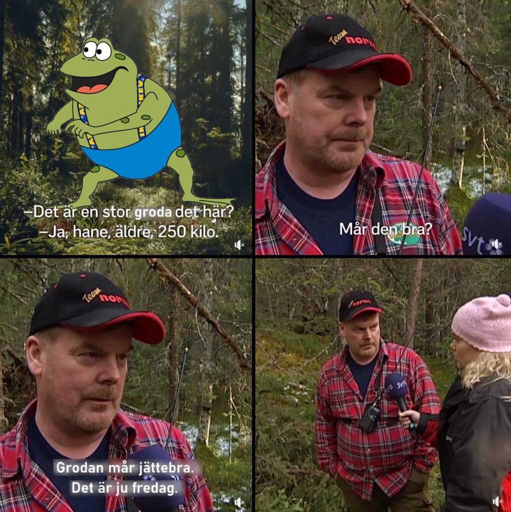 How is the frog really doing?