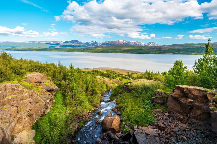 A stream flows toward Lake Lagarfljot, surrounded by trees that are part of the recovering forests in Iceland.