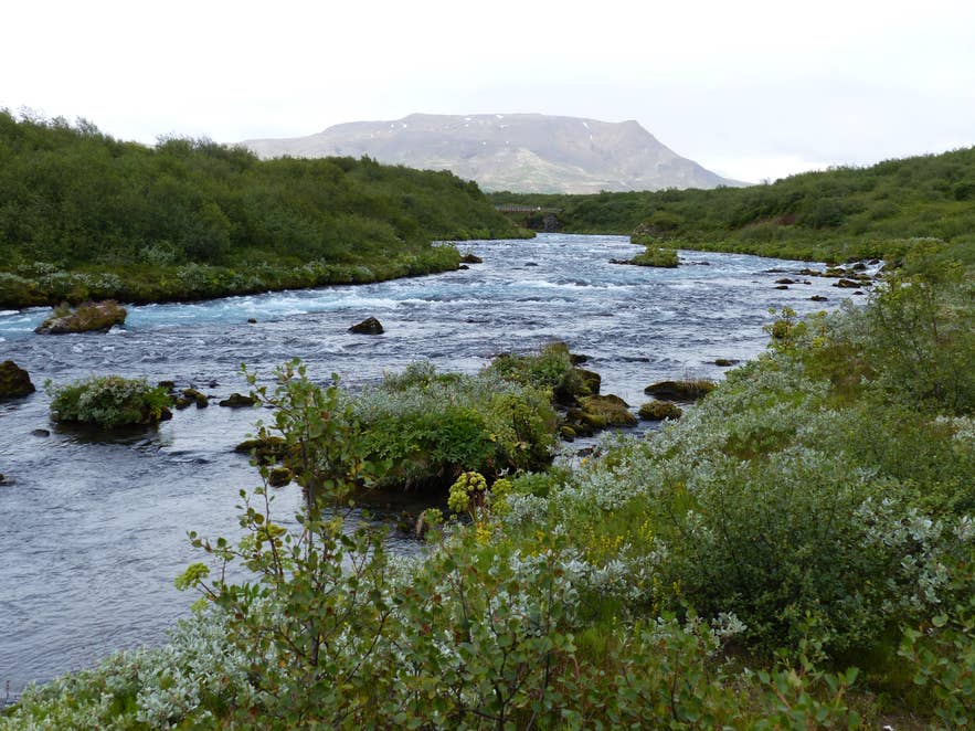 River running through Thjorsardalur Valley, surrounded by shrubs and remnants of ancient forests in Iceland.