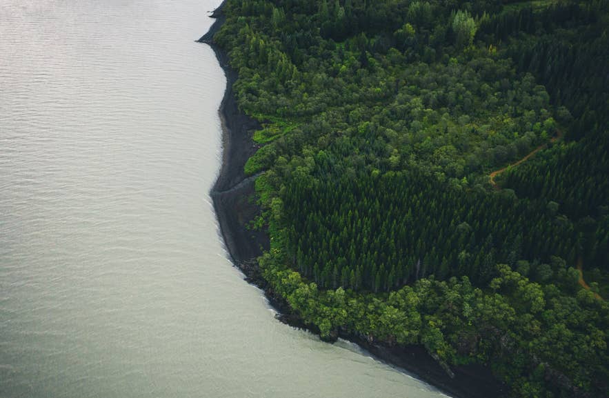 Aerial view of coastal woodland highlighting regrowth and the changing landscape of forests in Iceland.