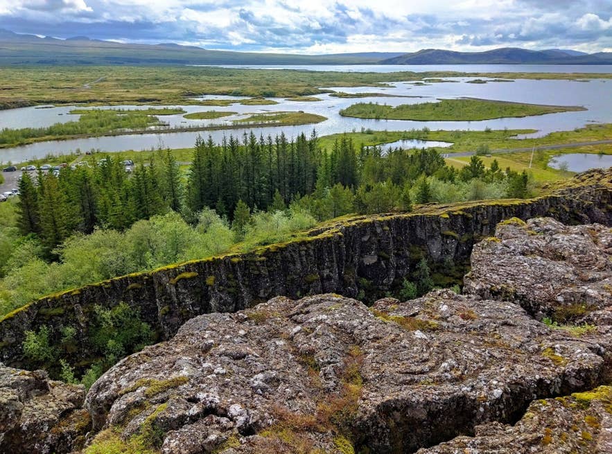 Forests in Iceland are rare, but patches like this one in Thingvellir National Park show ongoing reforestation efforts.