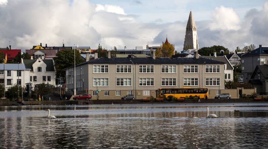 Straeto public bus passes Reykjavik’s Tjörnin Pond with swans swimming, offering a convenient travel option in Iceland.