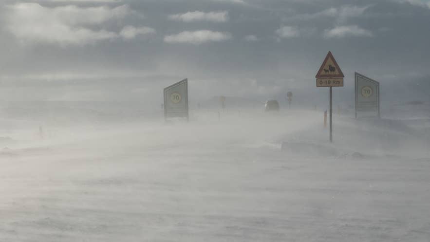 Snowstorm reduces visibility on an Icelandic road, highlighting the need to check conditions with an Iceland app like Vedur.