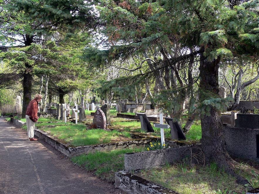 Gravestones and tall trees line the paths of Holavallagardur cemetery in Reykjavik, Iceland. Gravestones and tall trees line the paths of Holavallagardur cemetery in Reykjavik, Iceland.