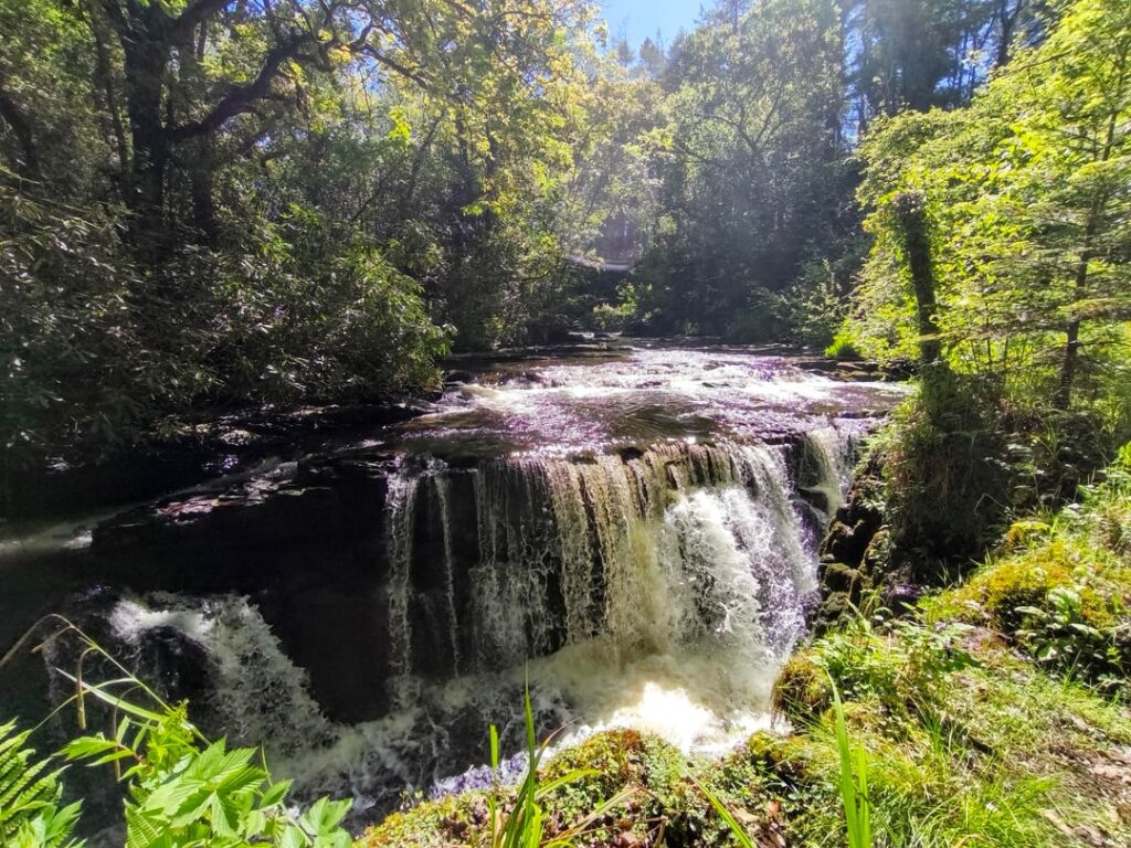Clare Glens Loop Clare Glens Loop
