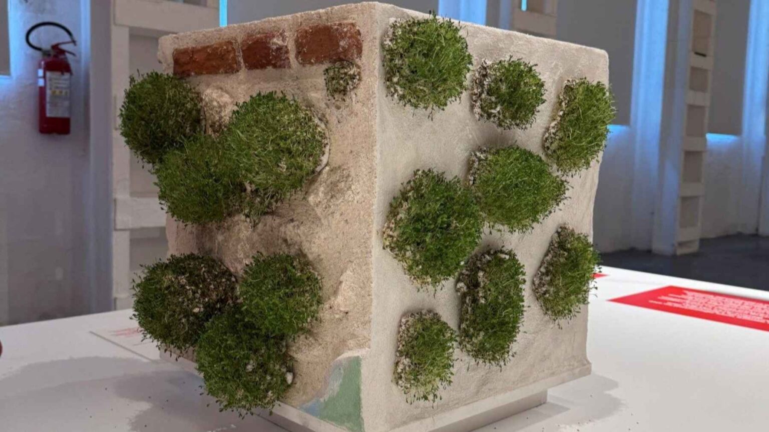 Biodegradable Green Anarchy wall sticker applied to a cracked urban facade to grow plants and small vertical gardens