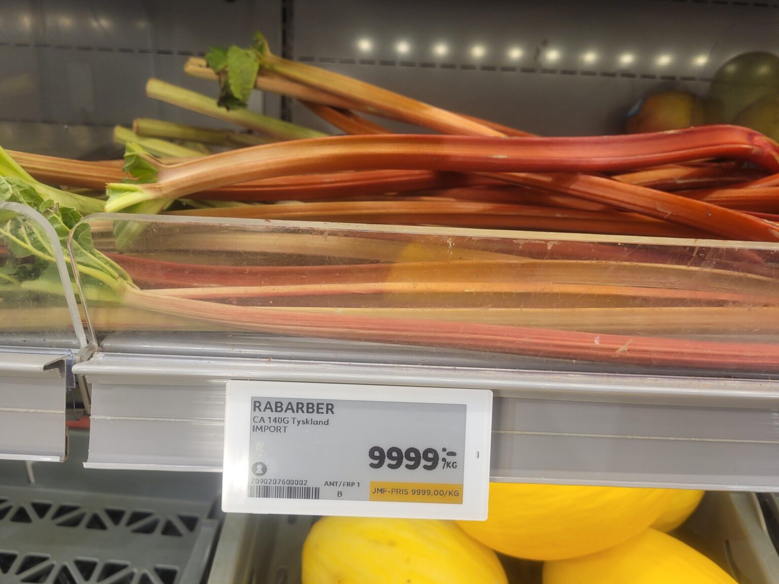Why grow drugs when you can grow rhubarb? SEK 9999/kg