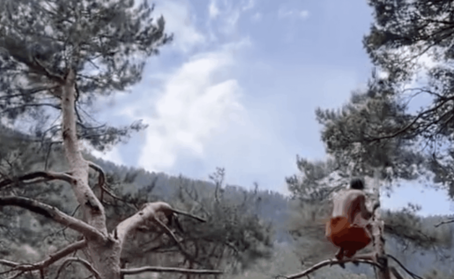 Goodbye to the gym: the discipline that succeeds training in nature in Andorra