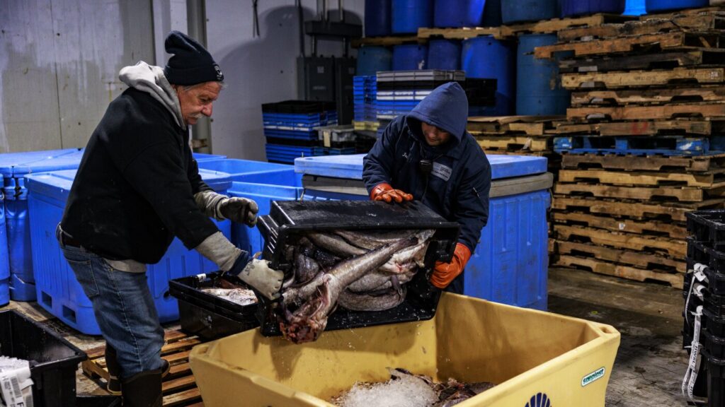 A pandemic-era program keeps Maine fishing industry afloat : NPR A pandemic-era program keeps Maine fishing industry afloat : NPR