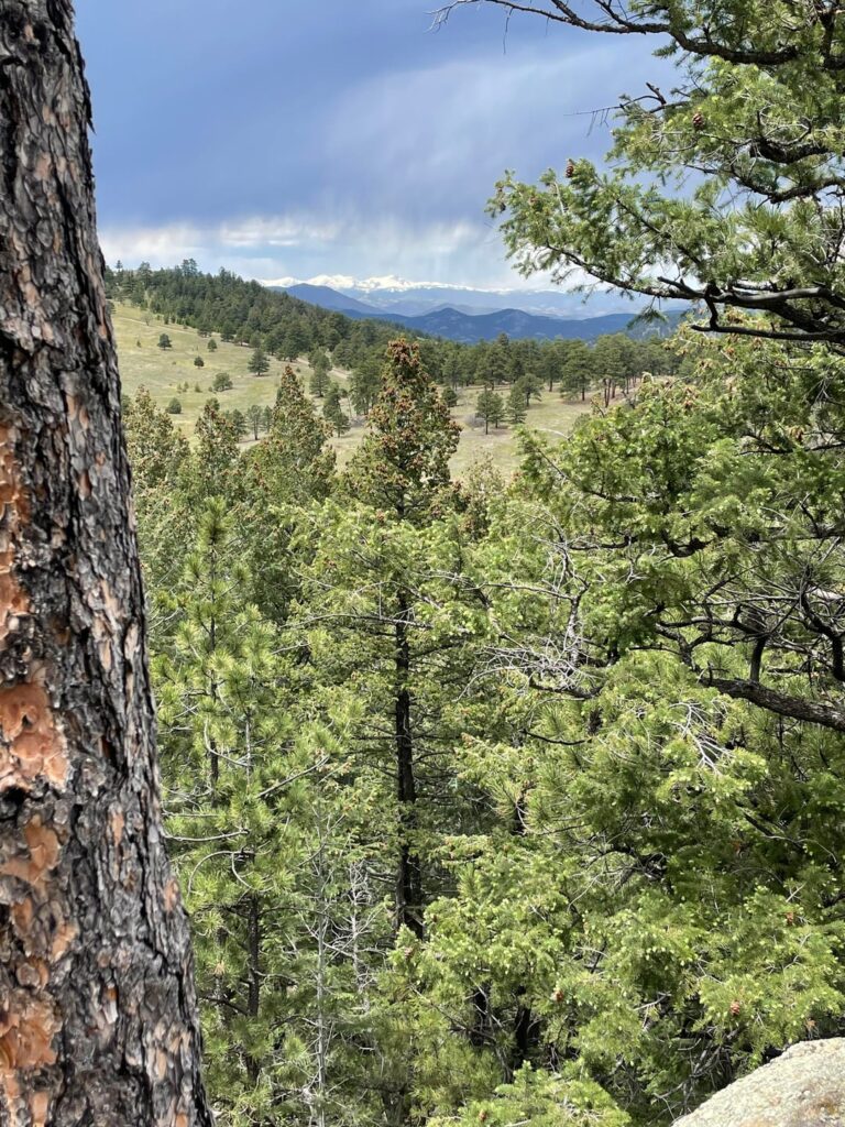 Beautiful day for a Colorado hike!
