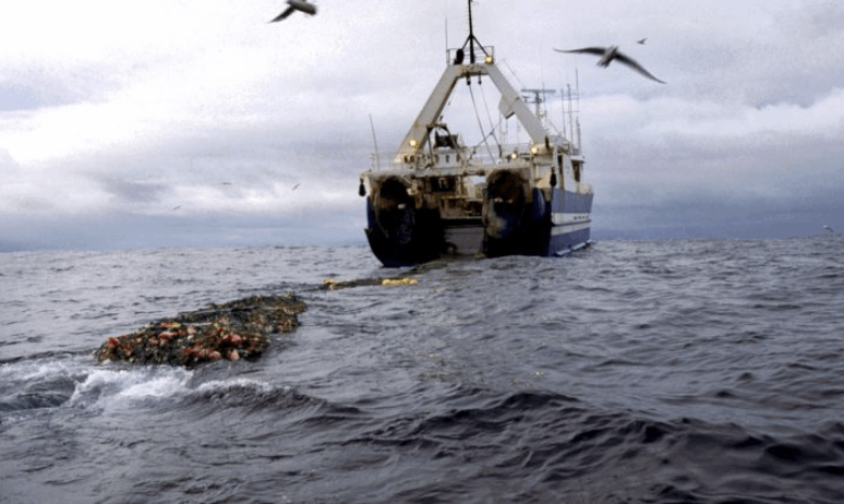 The soft power of the big fishing industry in Iceland