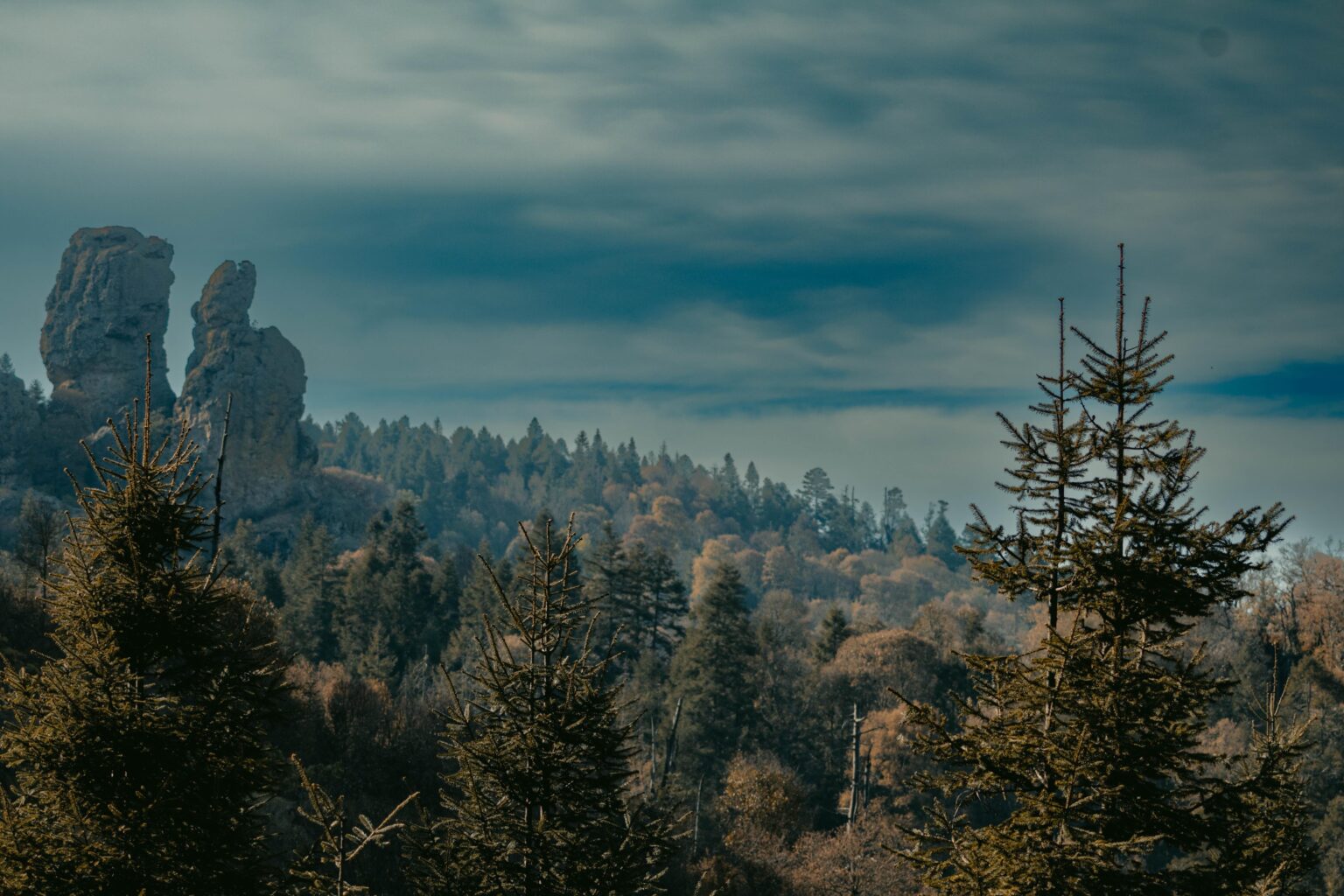 Above the wood, Hidalgo Mexico.