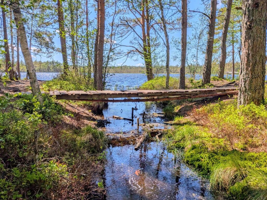 Kõnnujärvi hiking trail
