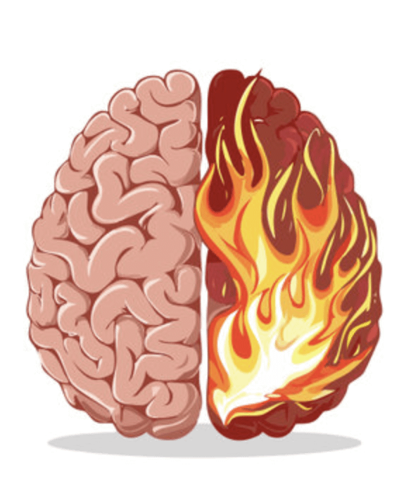 A neuroscientist at Einstein College of Medicine is trying to map how inflammation damages the brain