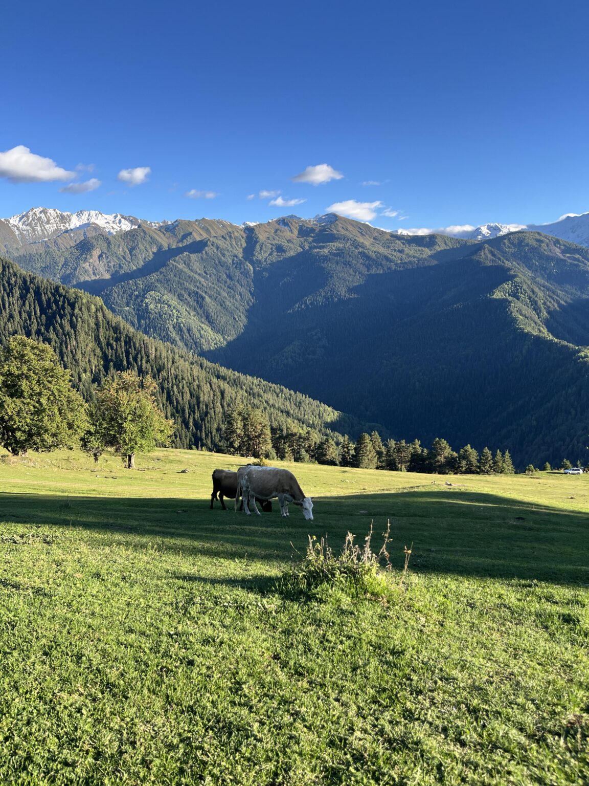Georgia like a heaven
