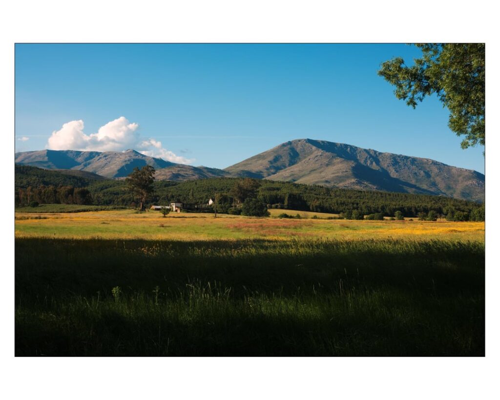 I was taking photos, somewhere between Fundão and Covilhã