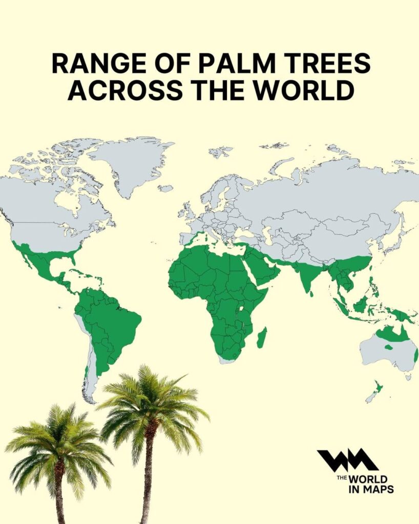 Range of palm trees across the world