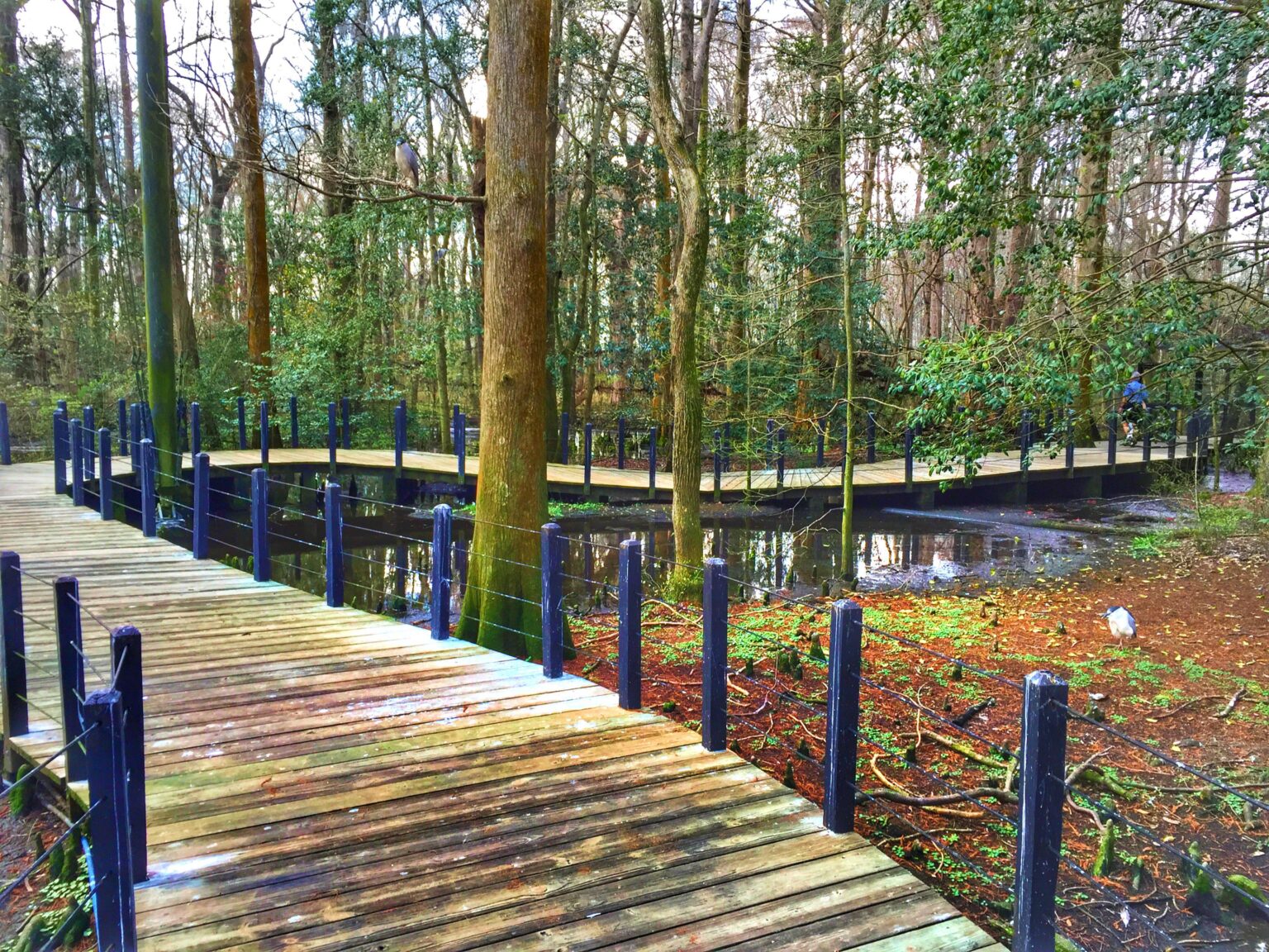 Brookgreen Gardens, SC