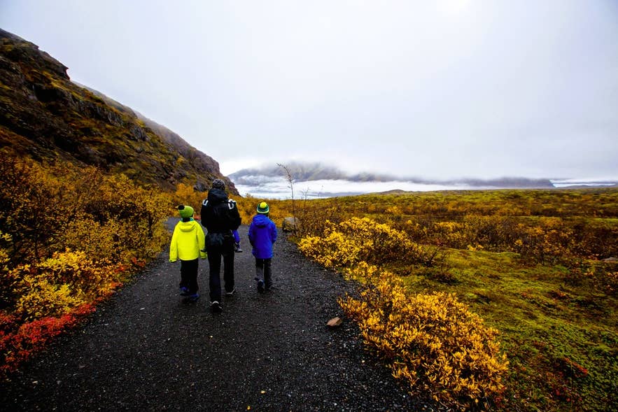 Family dressed in rain jackets and hiking boots walks through Iceland’s fall foliage, showing what to wear in Iceland in autumn. Family dressed in rain jackets and hiking boots walks through Iceland’s fall foliage, showing what to wear in Iceland in autumn.
