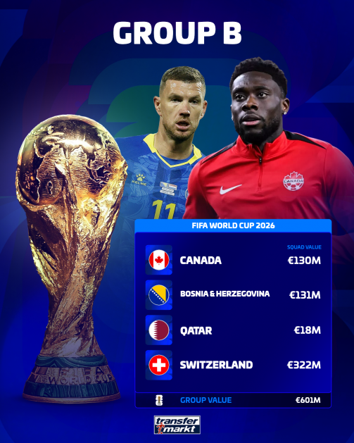 With Bosnia: Group B at the World Cup
