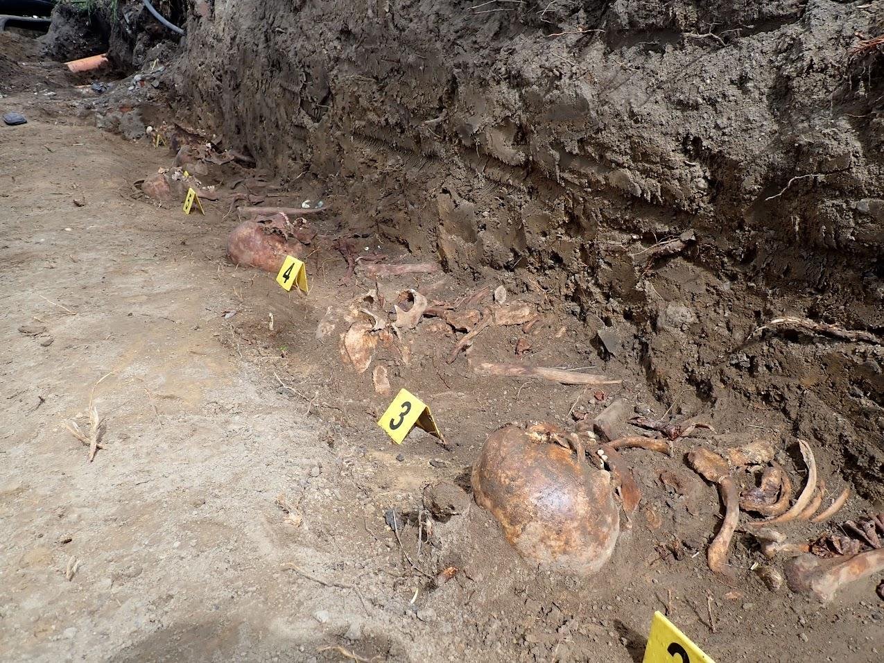 World War II mass grave in Poland reveals remains of German officer killed during Battle of Lauban