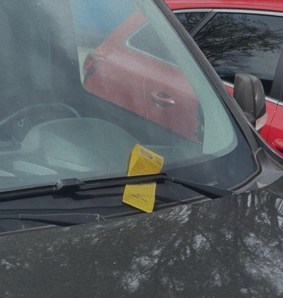 Someone's day started well. I hope you have a great Saturday!