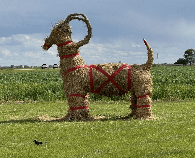 Meanwhile, in Swedesburg, Iowa