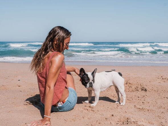 Young woman playing with dog on beach
