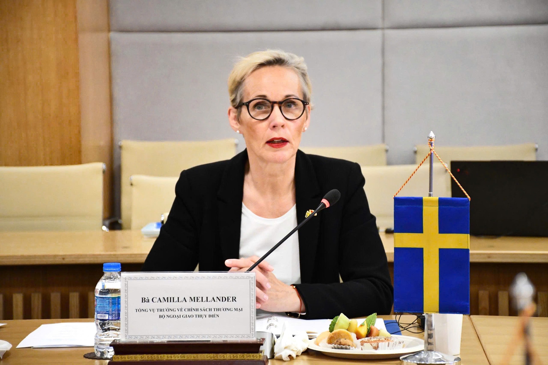Tổng Vụ trưởng Chính sách thương mại, Bộ Ngoại giao Thụy Điển Camilla Mellander phát biểu.