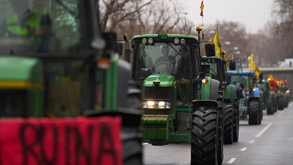 EU will ban imports of Brazilian meat from September EU will ban imports of Brazilian meat from September