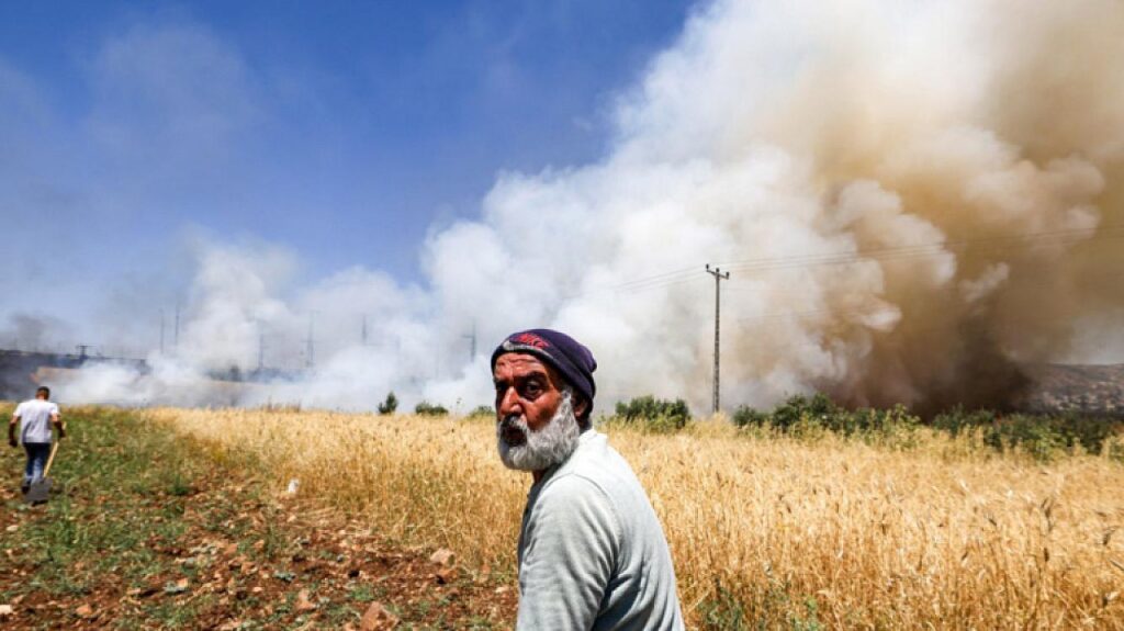 Clash between farmers and shepherds – Clash between farmers and shepherds -
