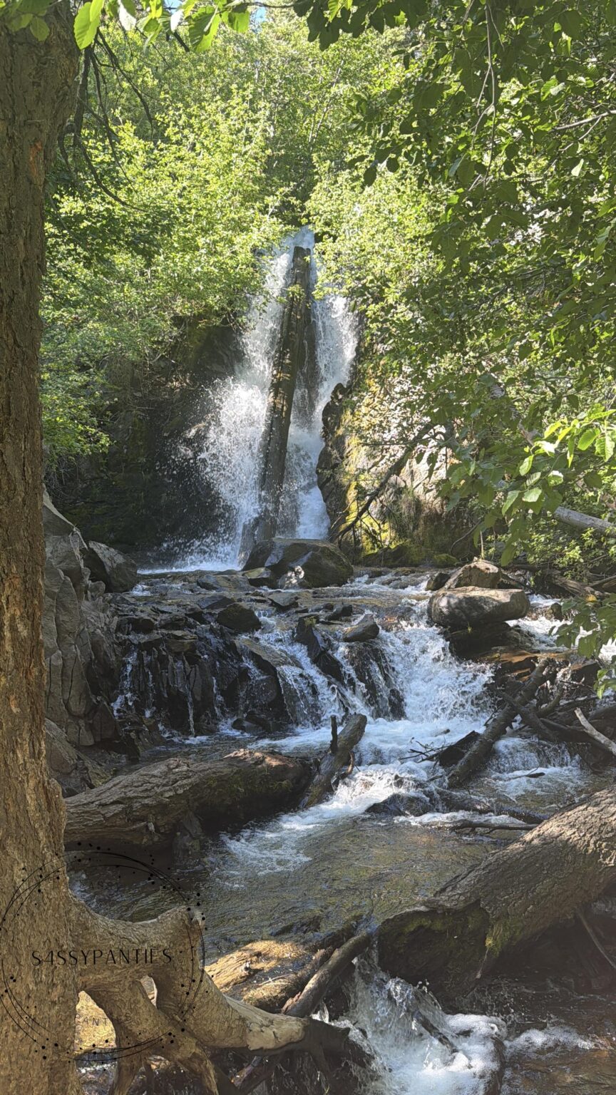 I went on a 6.5 mile hike up a mountain for this view.
