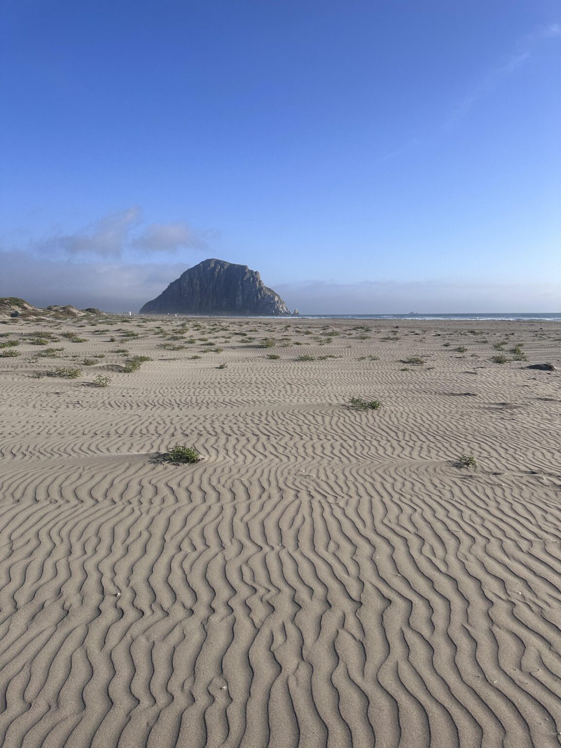 Morro Bay, CA