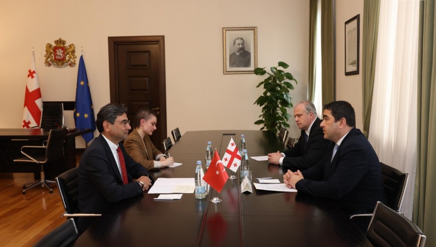 Speaker of the Parliament of Georgia Shalva Papuashvili met Ambassador of the Republic of Turkey