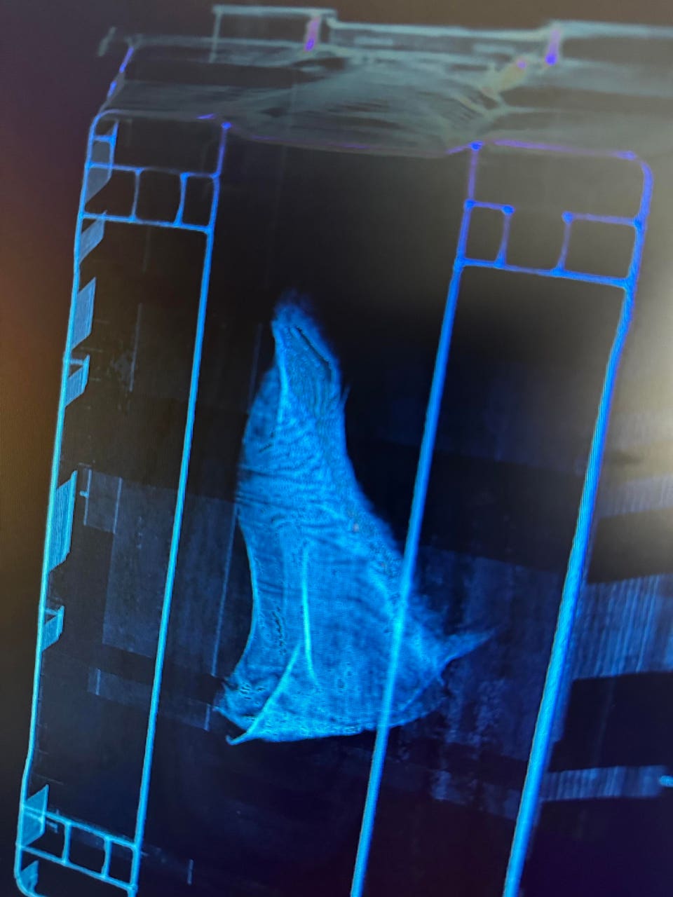 Single shark fin Chinatown xray