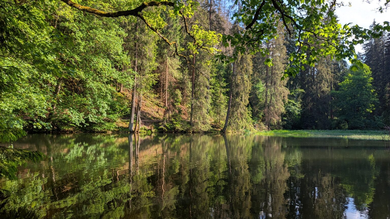 Lakeside