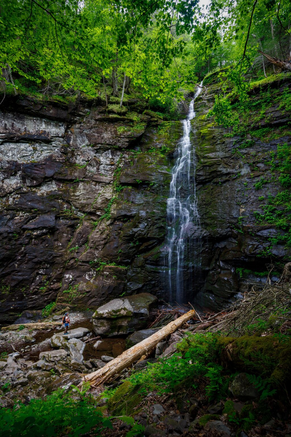 Rugged offtrail hike to an amazing rock wall. Over 100ft tall.