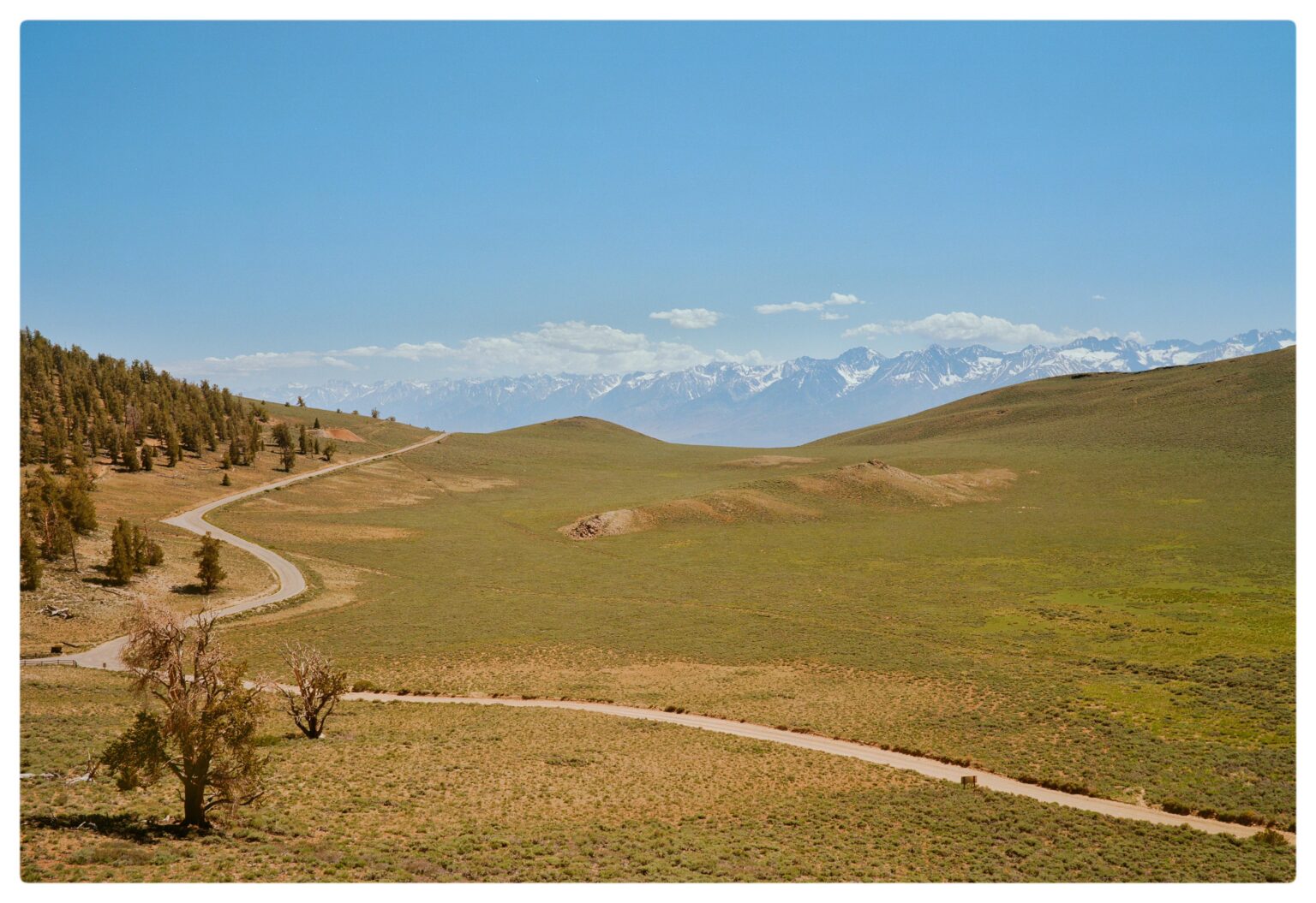 The road less traveled