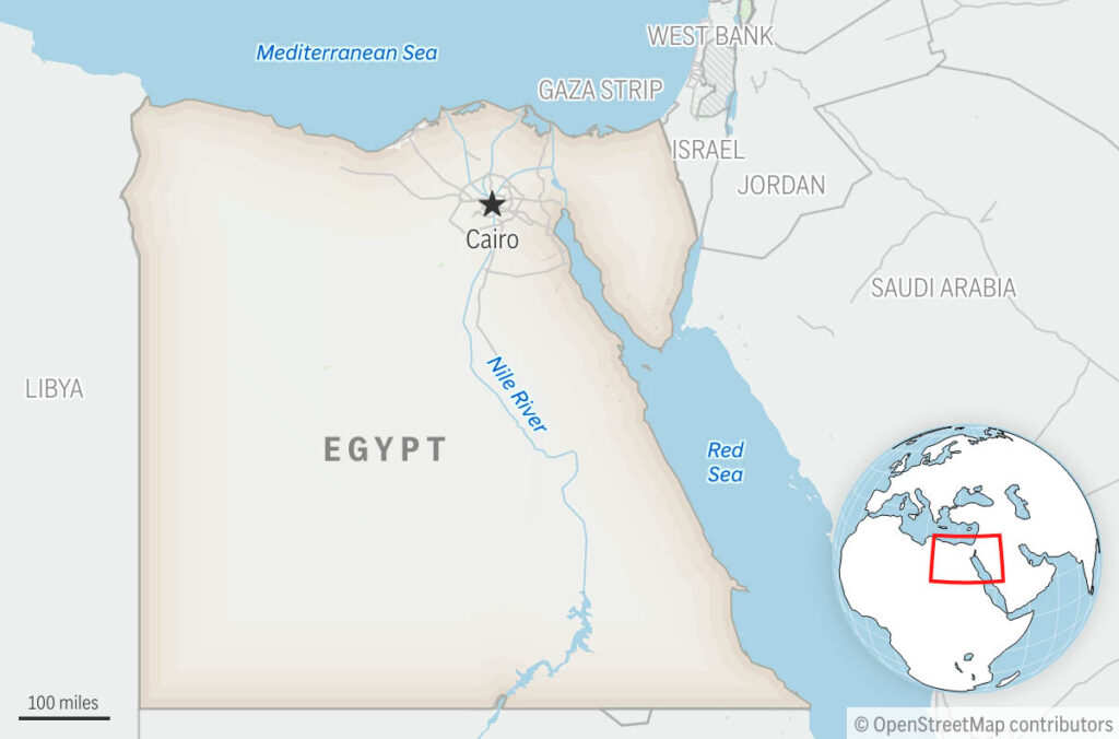 Former Egyptian doctor detained over hospital abuse allegations, released on bail Former Egyptian doctor detained over hospital abuse allegations, released on bail