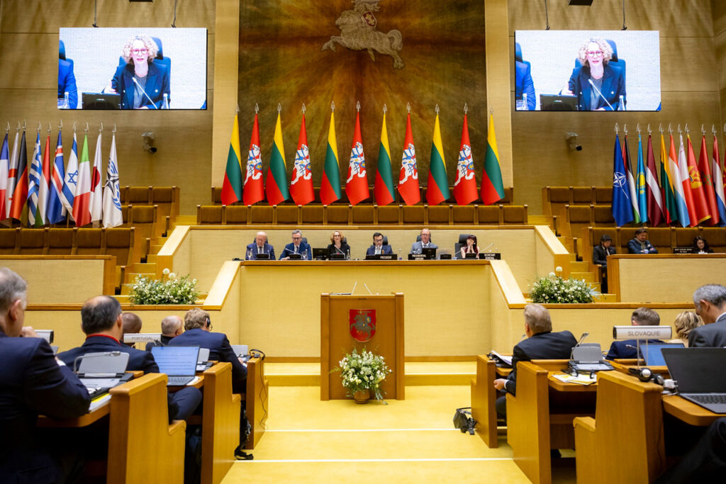 Deputy Secretary General addresses the NATO Parliamentary Assembly in Lithuania