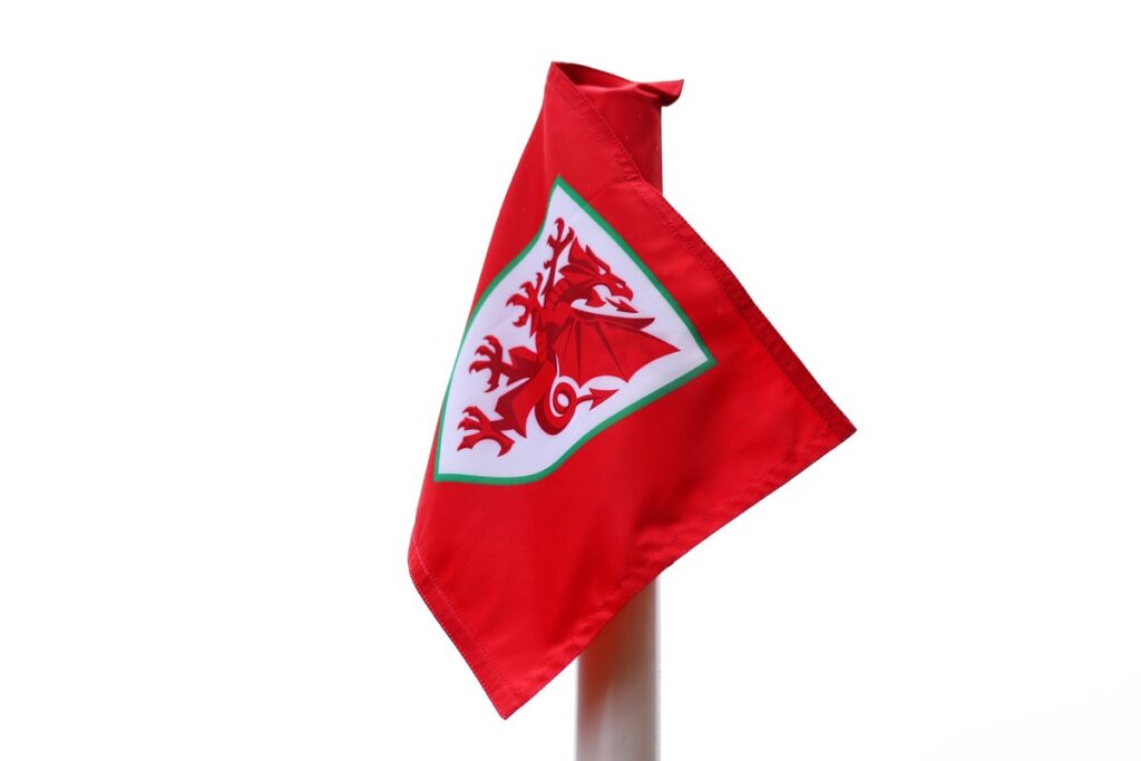 Wales miss chance to go top of World Cup qualifying group with Montenegro draw Wales miss chance to go top of World Cup qualifying group with Montenegro draw