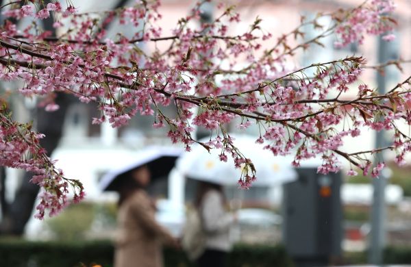Heavy Rains Expected in Northeastern Gyeonggi, Gangwon Provinces Thursday Night
