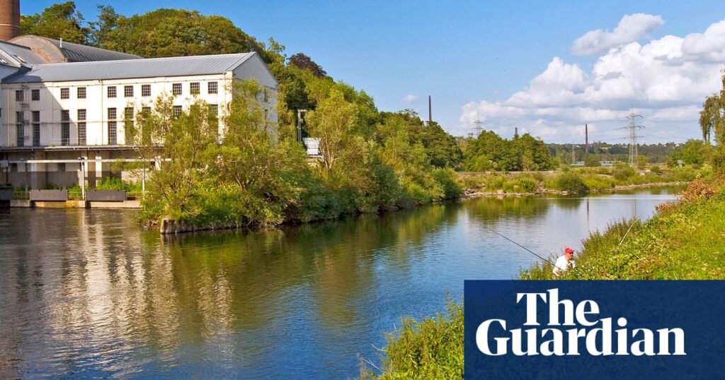 Cyclist praised for rescuing four people who nearly drowned in Ruhr, Germany | Germany Cyclist praised for rescuing four people who nearly drowned in Ruhr, Germany | Germany